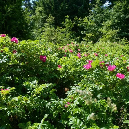 Amazing In With 2 Bedrooms And Wifi Casa vacanze